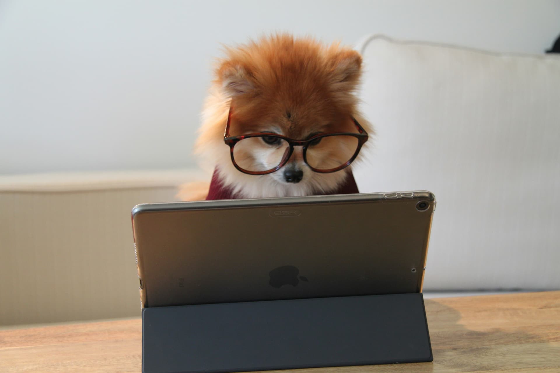 Verified PurePaws Breeder