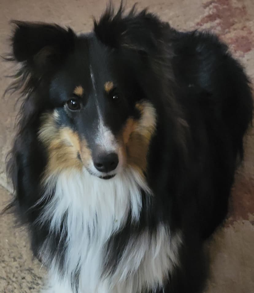 Fiona