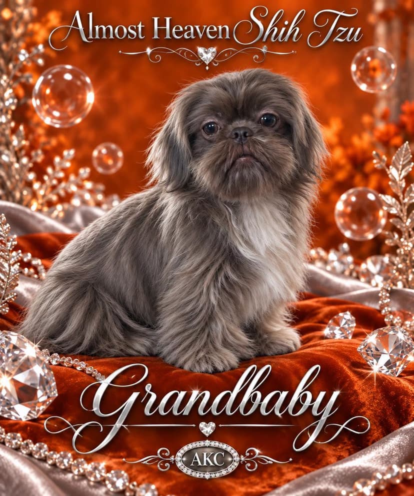 Grandbaby