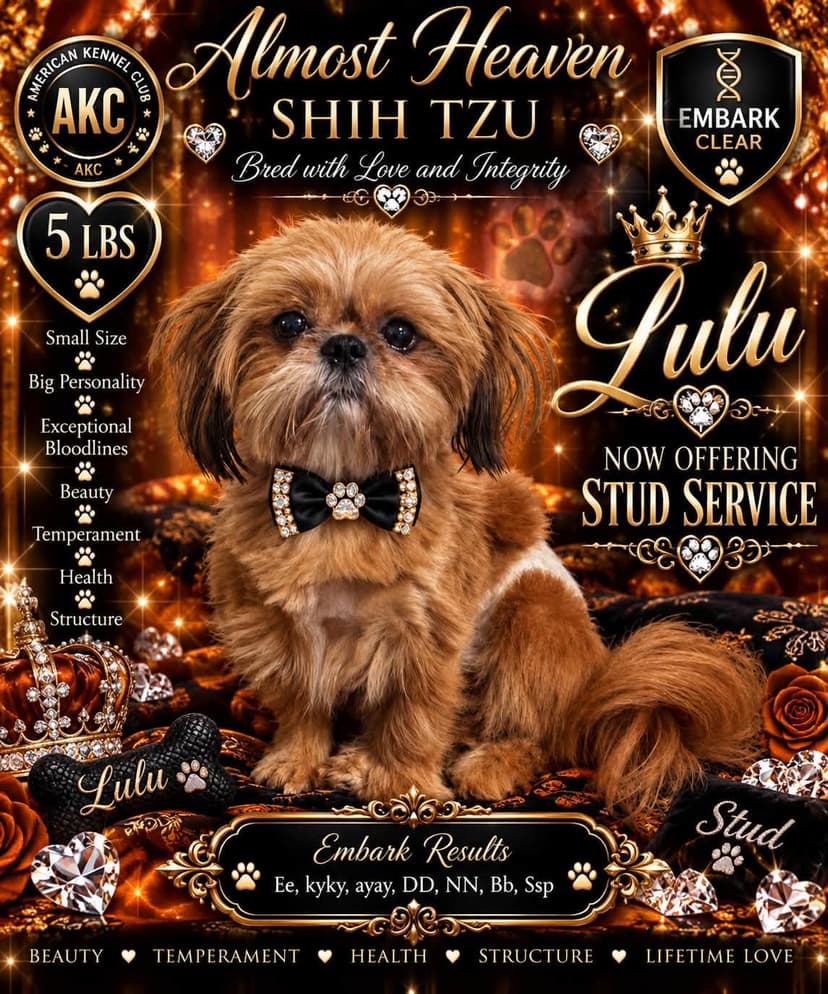 Lulu
