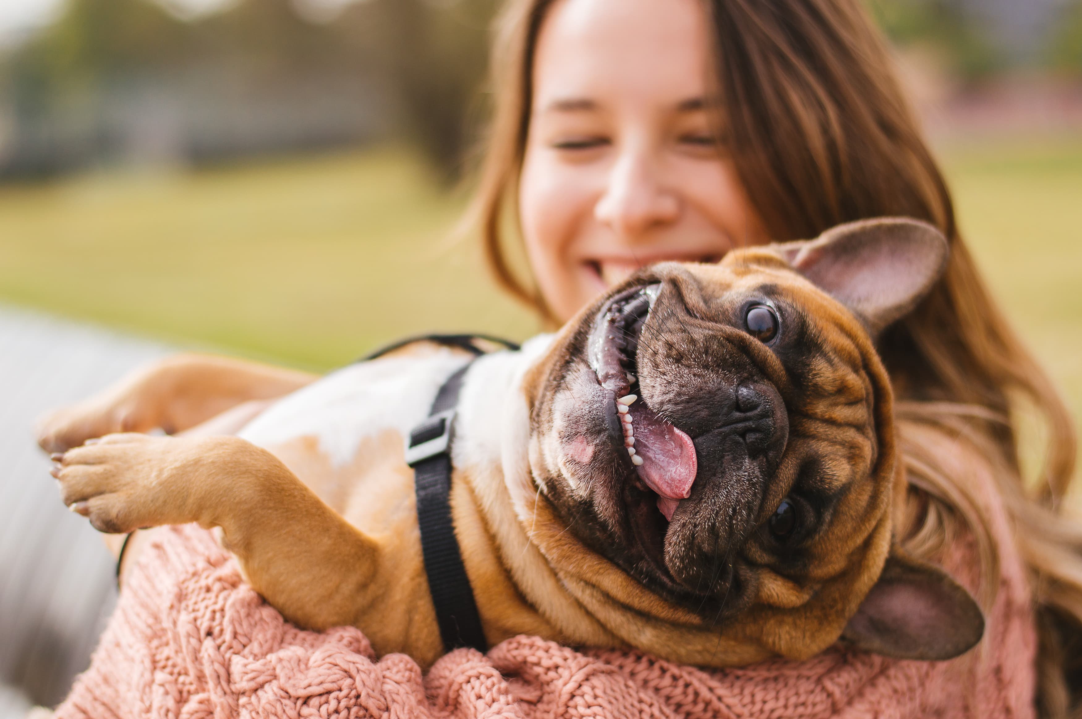 Avoiding Puppy Scams: Red Flags & Safe Practices