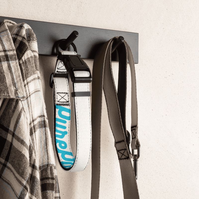 PurePaws Pet collar