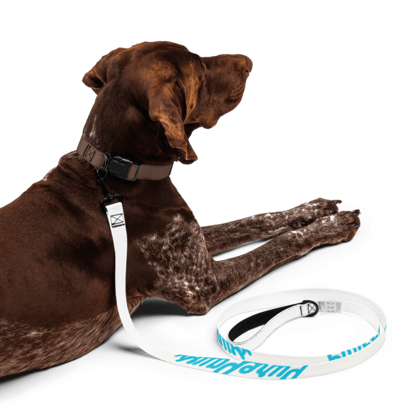 PurePaws Pet leash