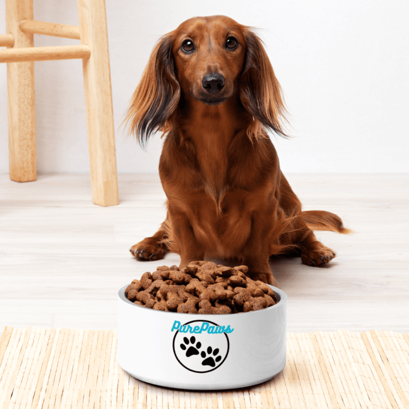 PurePaws Pet bowl